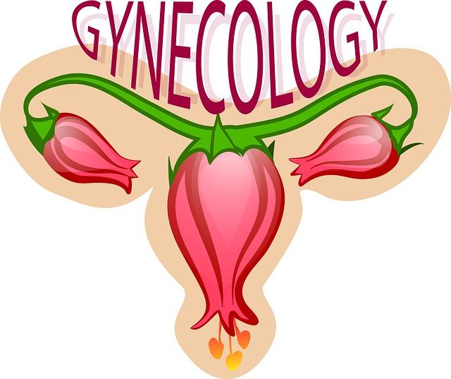 Podrobný popis‍ jednotlivých služeb gynekologie‍ pro samoplátce