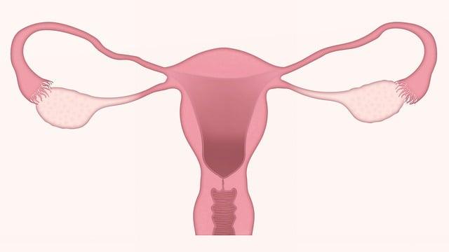 Kdy navštívit gynekologa v těhotenství: Optimální časování