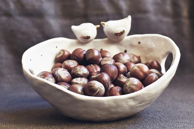 Zdroje proteinů vhodné pro budoucí maminky