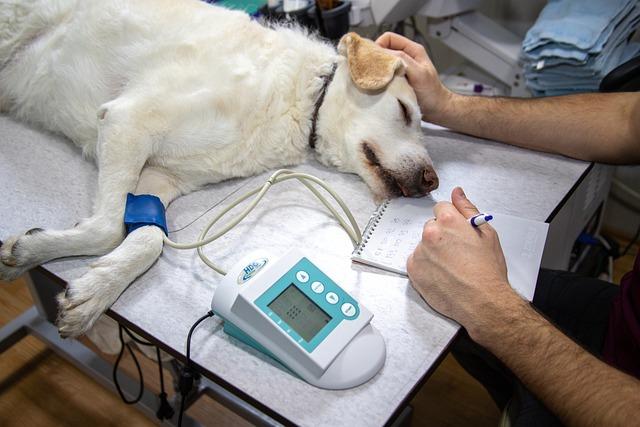 Doporučené preventivní vyšetření pro ženy