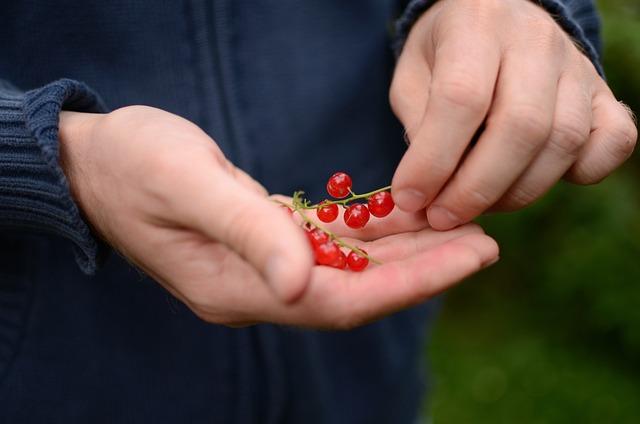 Důležité vitamíny a minerály pro těhotné ženy