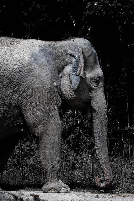 Nutkání na močení v noci: Jak pomoci dítěti překonat problémy s nočním močením