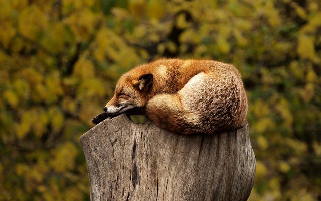 Tipy na relaxační a zábavné aktivity během čekání