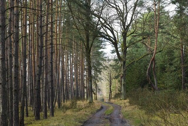 Způsoby, jak oslavit⁢ úspěchy a ‌podpořit další pokroky​ v učení‍ se ‍na toaletu