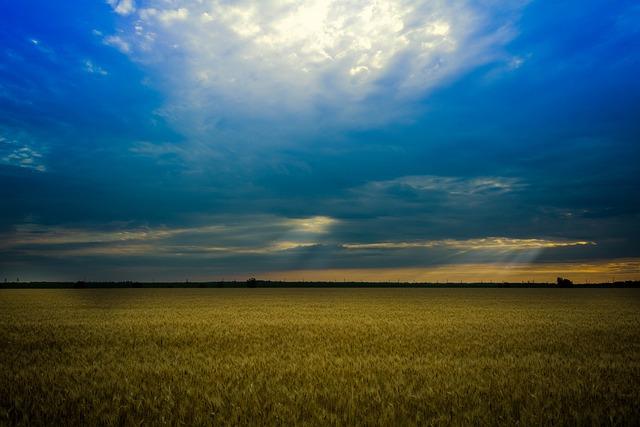 Možné rizika spojená s užíváním borové vody u novorozenců